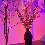 Calme Vittel, Proche Des Thermes *